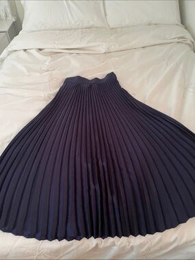 SHEIN Navy Pleated Circle Skirt
